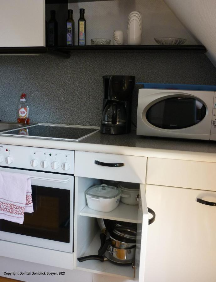 Domizil Domblick Speyer City, Garage, 50M2 Екстериор снимка