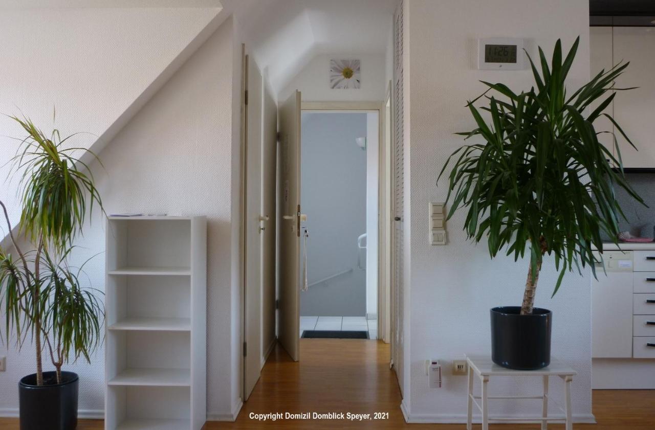 Domizil Domblick Speyer City, Garage, 50M2 Екстериор снимка
