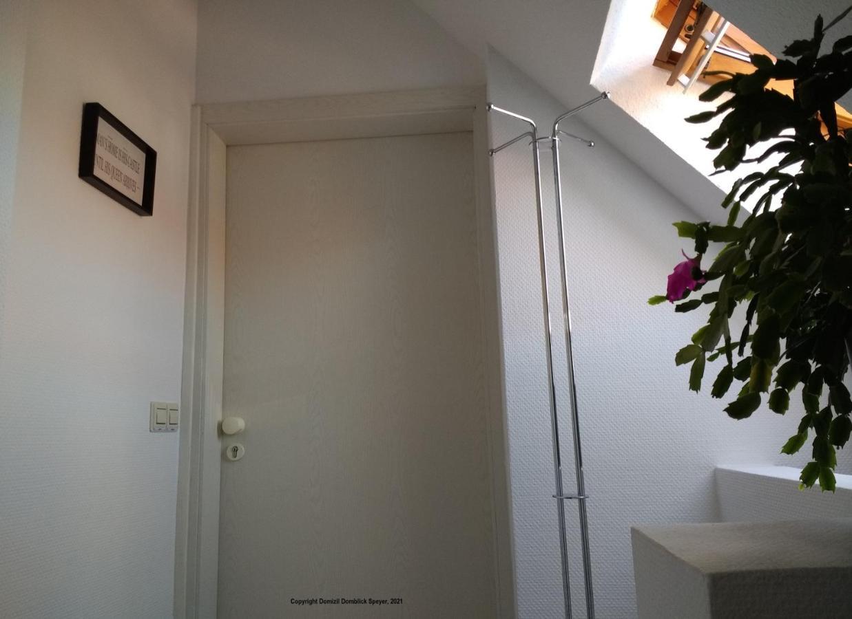 Domizil Domblick Speyer City, Garage, 50M2 Екстериор снимка