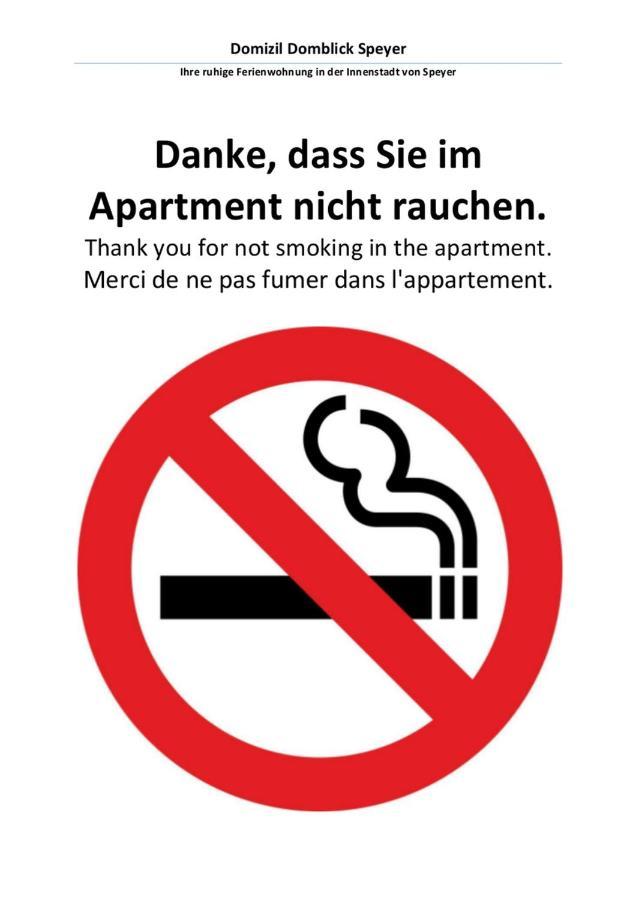 Domizil Domblick Speyer City, Garage, 50M2 Екстериор снимка